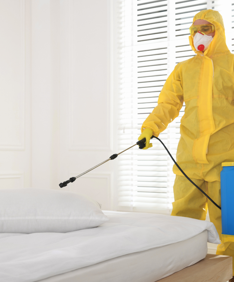 Professional Pest Control Team in Christies Beach